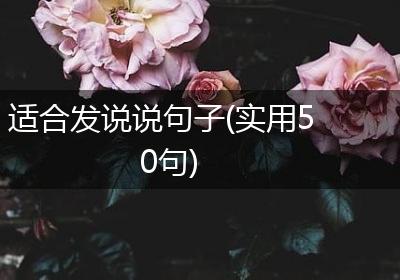 适合发说说句子(实用50句)