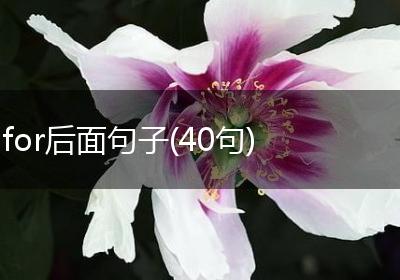 for后面句子(40句)
