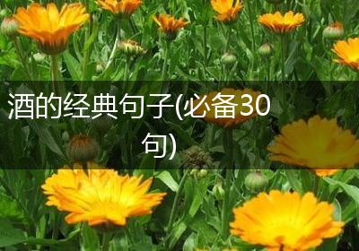 酒的经典句子(必备30句)