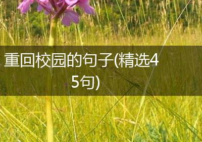 重回校园的句子(精选45句)