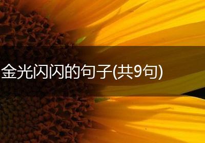 金光闪闪的句子(共9句)