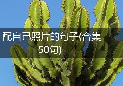 配自己照片的句子(合集50句)