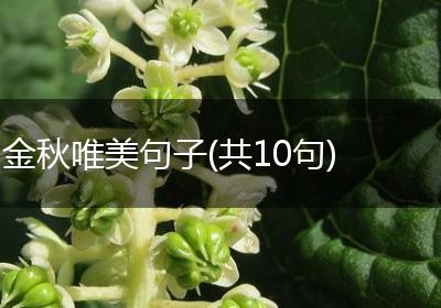 金秋唯美句子(共10句)