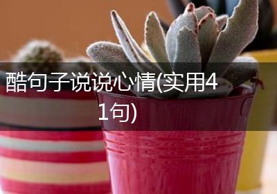 酷句子说说心情(实用41句)