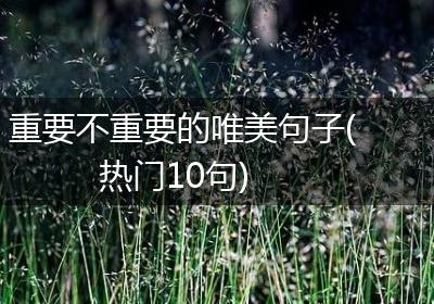 重要不重要的唯美句子(热门10句)