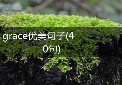 grace优美句子(40句)