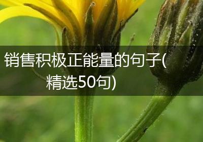 销售积极正能量的句子(精选50句)