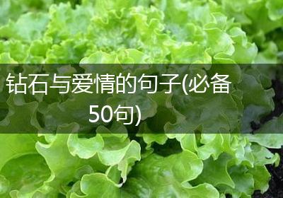 钻石与爱情的句子(必备50句)