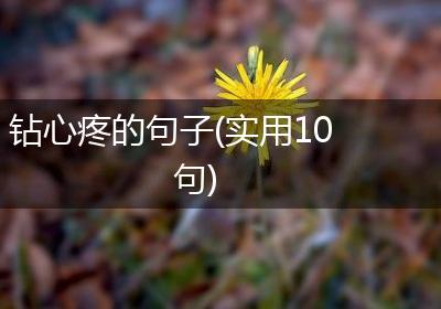 钻心疼的句子(实用10句)