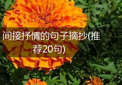 间接抒情的句子摘抄(推荐20句)
