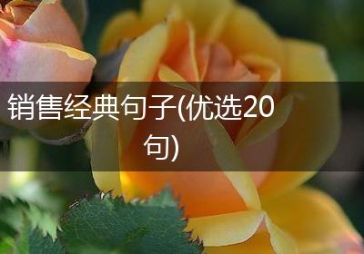 销售经典句子(优选20句)