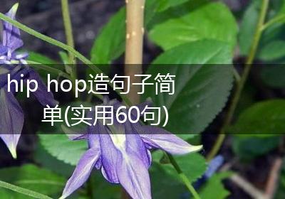 hip hop造句子简单(实用60句)