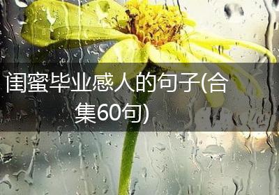 闺蜜毕业感人的句子(合集60句)