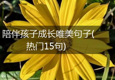陪伴孩子成长唯美句子(热门15句)