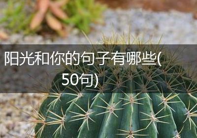 阳光和你的句子有哪些(50句)