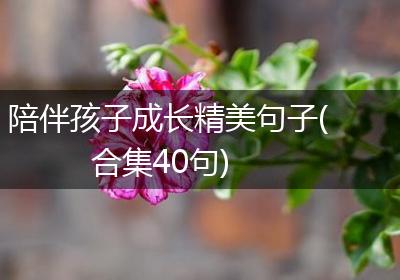 陪伴孩子成长精美句子(合集40句)