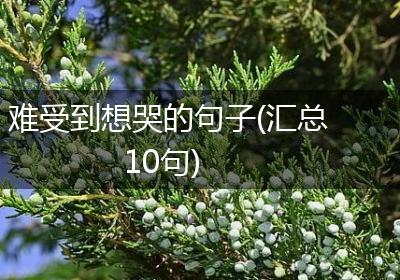 难受到想哭的句子(汇总10句)