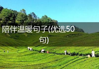陪伴温暖句子(优选50句)