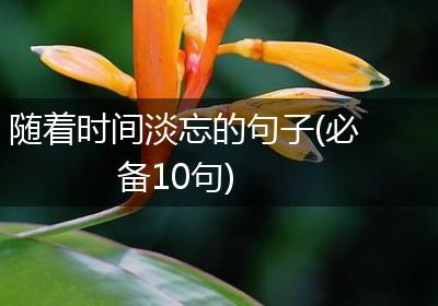 随着时间淡忘的句子(必备10句)