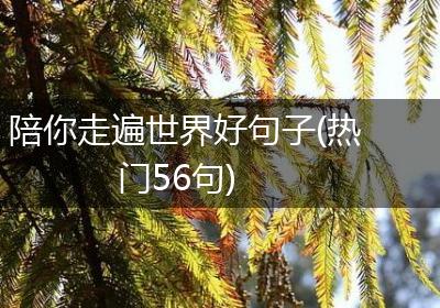 陪你走遍世界好句子(热门56句)