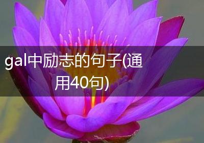 gal中励志的句子(通用40句)