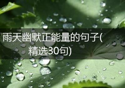 雨天幽默正能量的句子(精选30句)
