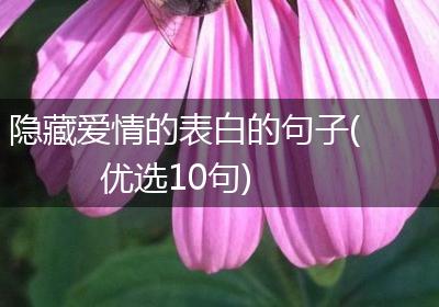 隐藏爱情的表白的句子(优选10句)