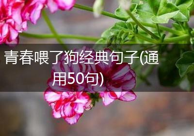 青春喂了狗经典句子(通用50句)