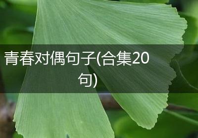 青春对偶句子(合集20句)
