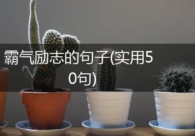 霸气励志的句子(实用50句)