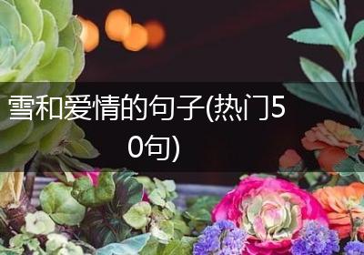 雪和爱情的句子(热门50句)