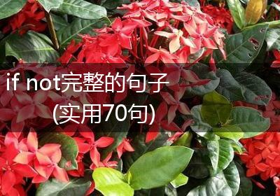 if not完整的句子(实用70句)