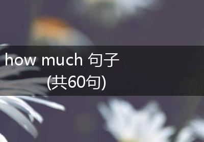 how much 句子(共60句)