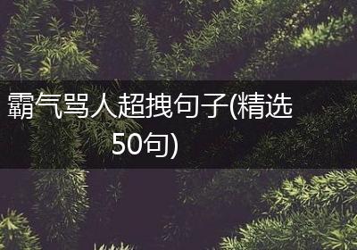 霸气骂人超拽句子(精选50句)