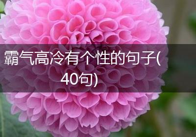 霸气高冷有个性的句子(40句)