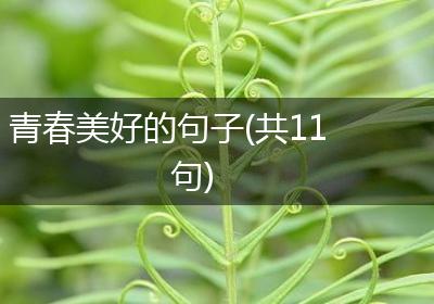 青春美好的句子(共11句)