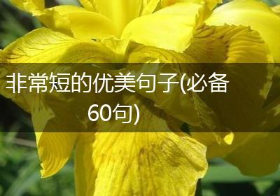 非常短的优美句子(必备60句)
