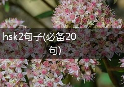 hsk2句子(必备20句)