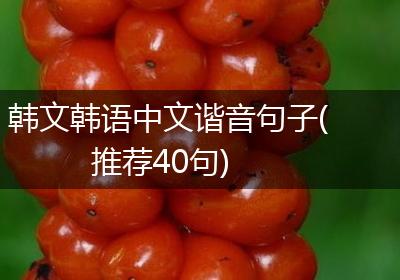 韩文韩语中文谐音句子(推荐40句)