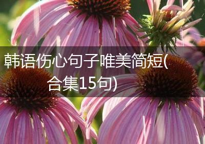 韩语伤心句子唯美简短(合集15句)
