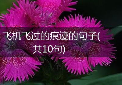 飞机飞过的痕迹的句子(共10句)