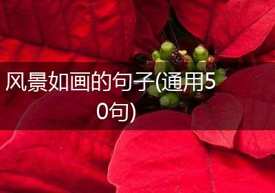 风景如画的句子(通用50句)
