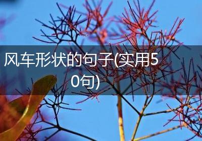 风车形状的句子(实用50句)