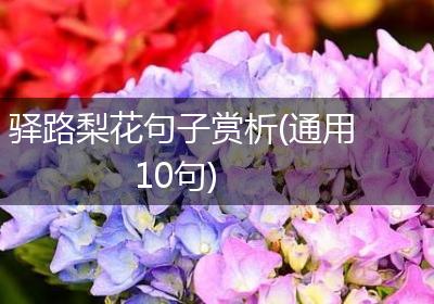 驿路梨花句子赏析(通用10句)