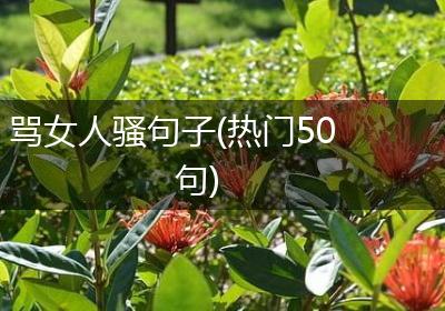 骂女人骚句子(热门50句)