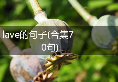 lave的句子(合集70句)