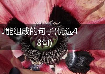 J能组成的句子(优选48句)
