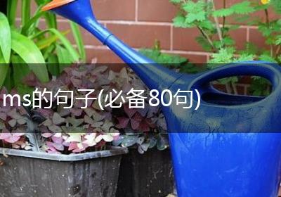 ms的句子(必备80句)