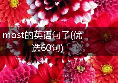 most的英语句子(优选60句)