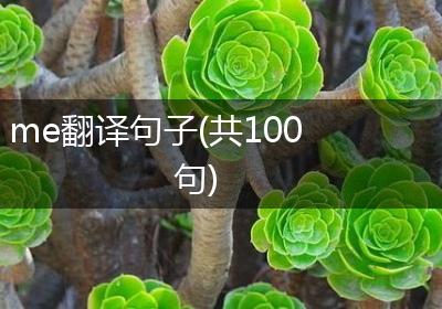 me翻译句子(共100句)